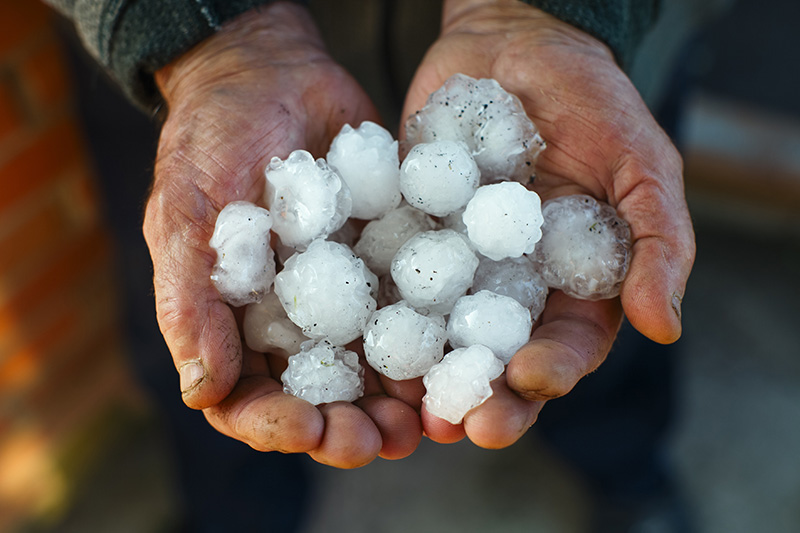 Hagel wird Jahr für Jahr eine größere Bedrohung für Landwirte