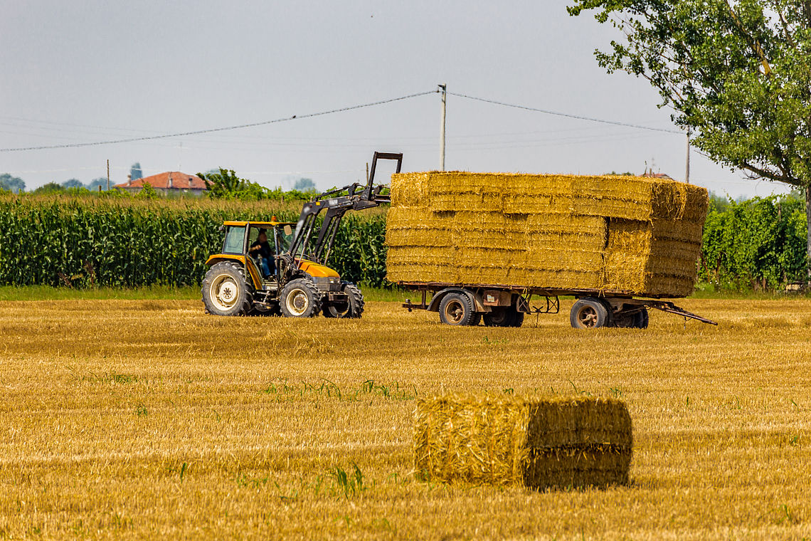 Versicherung für Ihre Landwirtschaft