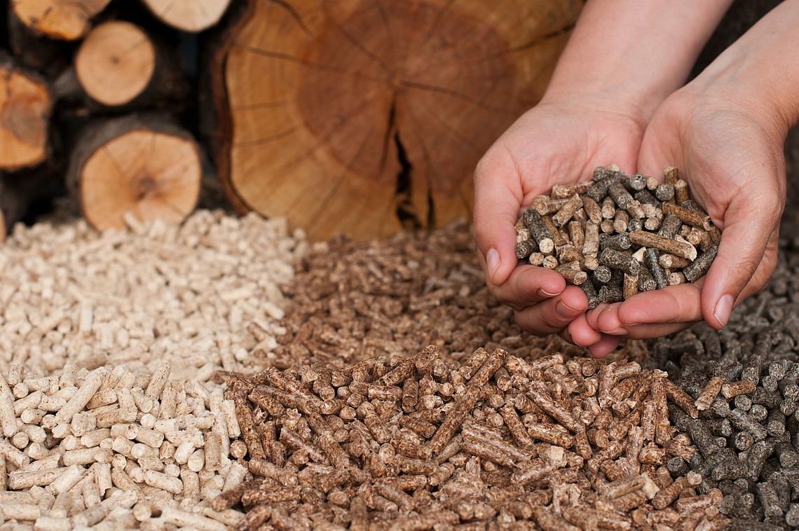Versicherung für Biomasse