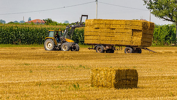 Der optimale Versicherungsschutz für Ihre Landwirtschaft oder Forstwirtschaft